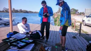 13227048_1090459851012410_712420636482877505_n