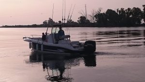 13731507_1136922956366099_9012407324081364030_n