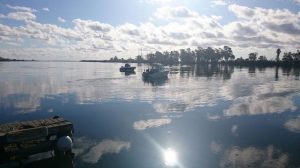 pesca delta del ebro