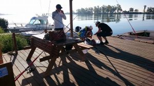 18619951_1454376371287421_7316973422283997028_n