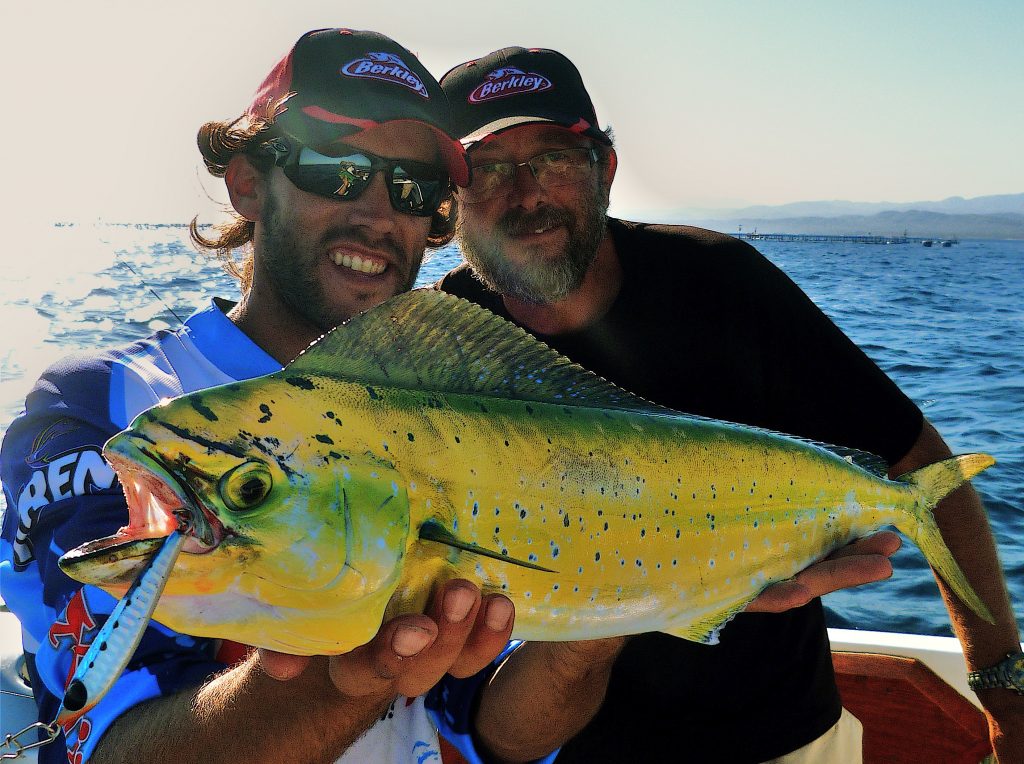 llampuga delta del ebro