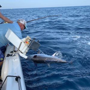 67212498_2471867409538307_6062580809158623232_n