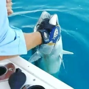 67424618_2471872749537773_8609281572832542720_n