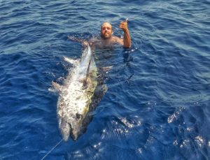 67761612_2487819411276440_6776207462388203520_n