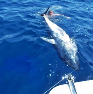 67781543_2494485040609877_5481100666015318016_n