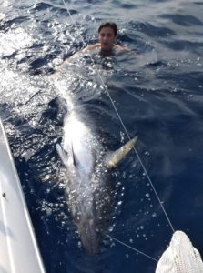 68262210_2491229100935471_3486256638136942592_n