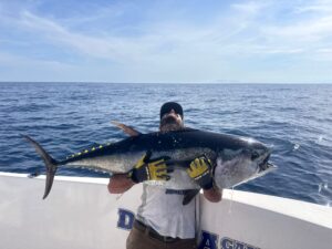 pesca delta del ebro