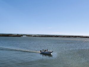 salidas en barco delta del ebro