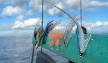 pesca delta del ebro