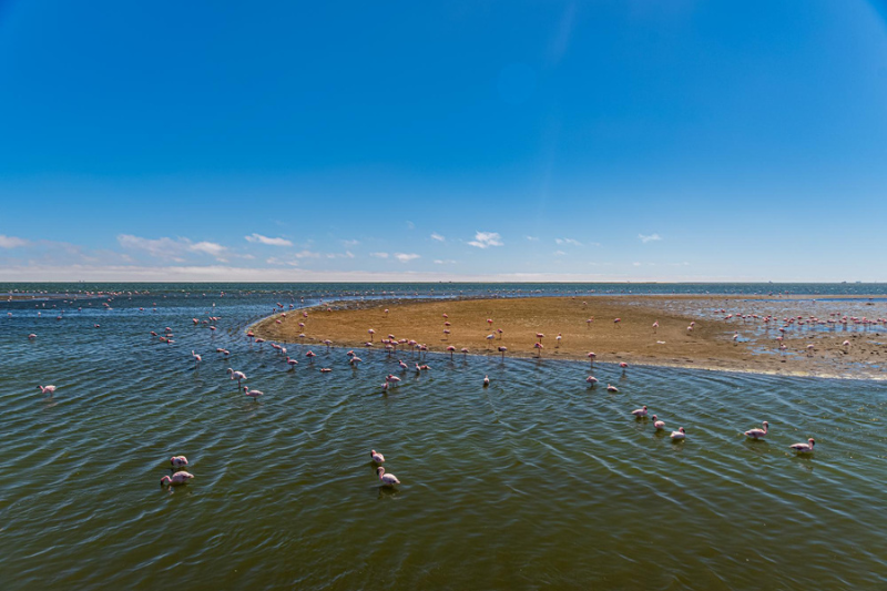 excursion en barco por el delta del ebro