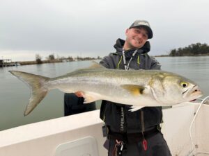 eb861f53-80c1-4a70-8771-cac7505e32c1